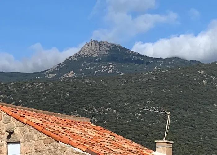 Casa Rosalinda Pensionat